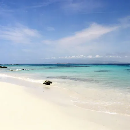 Casa Magi - Sa Murta شقة