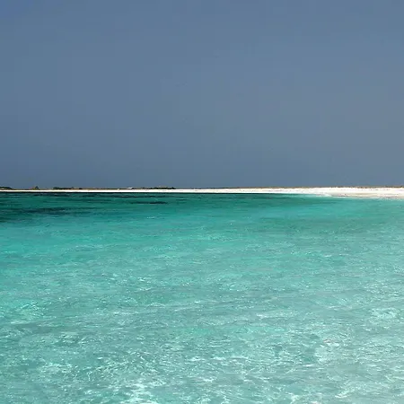 Casa Magi - Sa Murta شقة Funtana Meiga